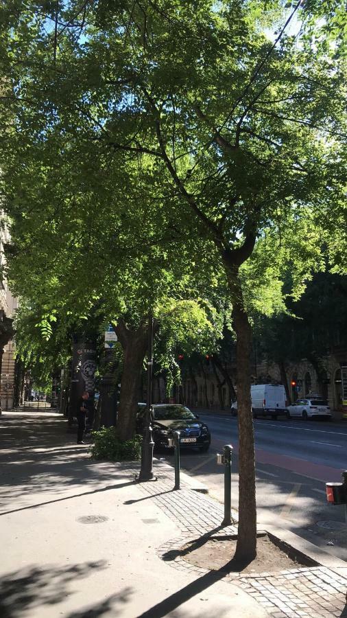 Diamond Apartman Near To Basilica Budapeşte Dış mekan fotoğraf